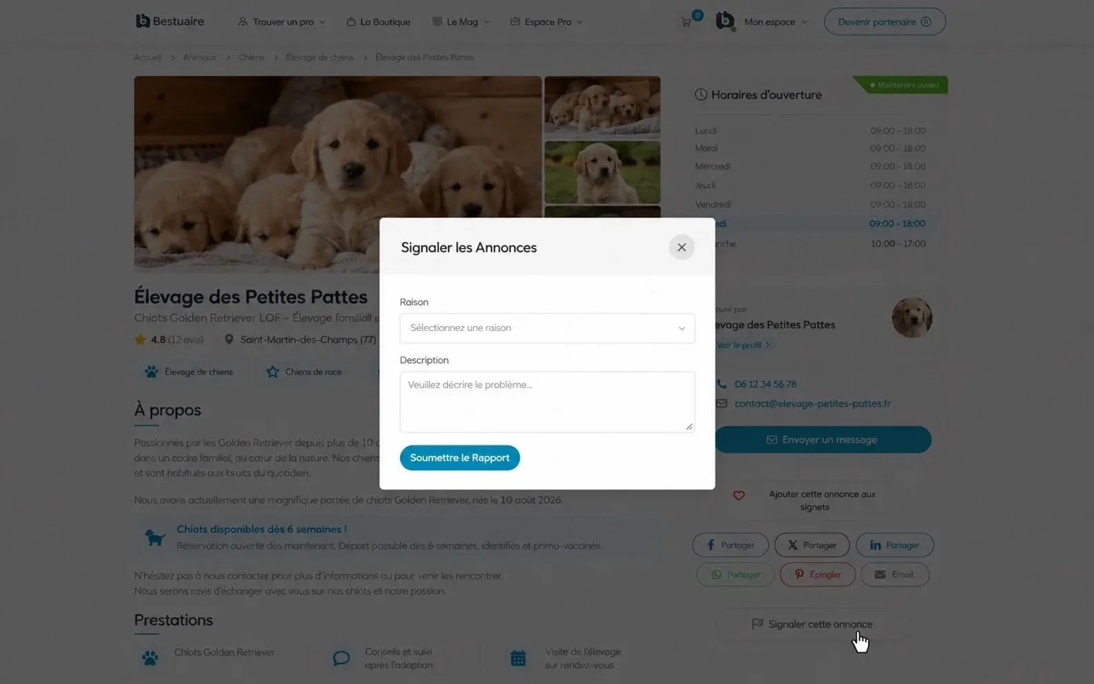 Fenêtre de signalement ouverte après avoir cliqué sur Signaler cette annonce