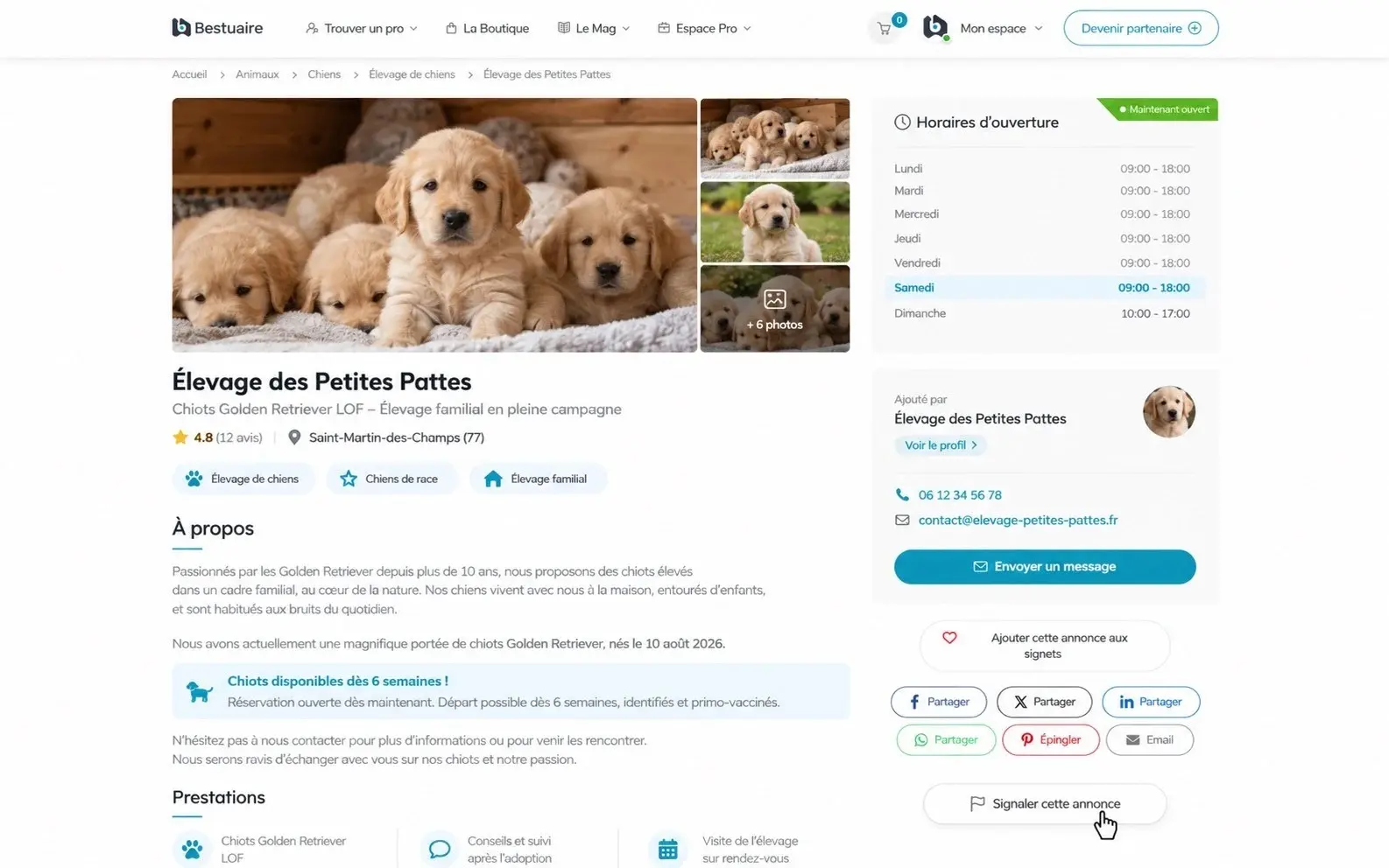 Exemple de fiche Bestuaire comportant une anomalie avec le bouton Signaler cette annonce