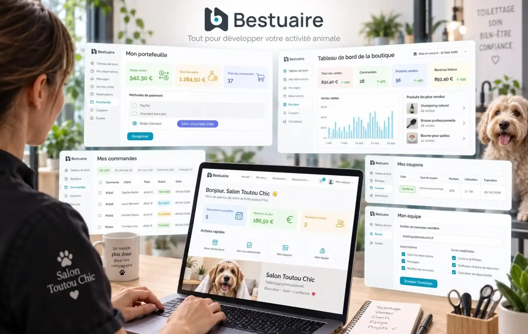 Illustration des espaces Bestuaire pour le portefeuille, la boutique, les coupons et l’équipe