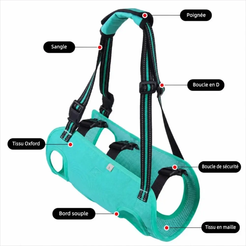 Harnais de levage pour chien présentant ses principales caractéristiques