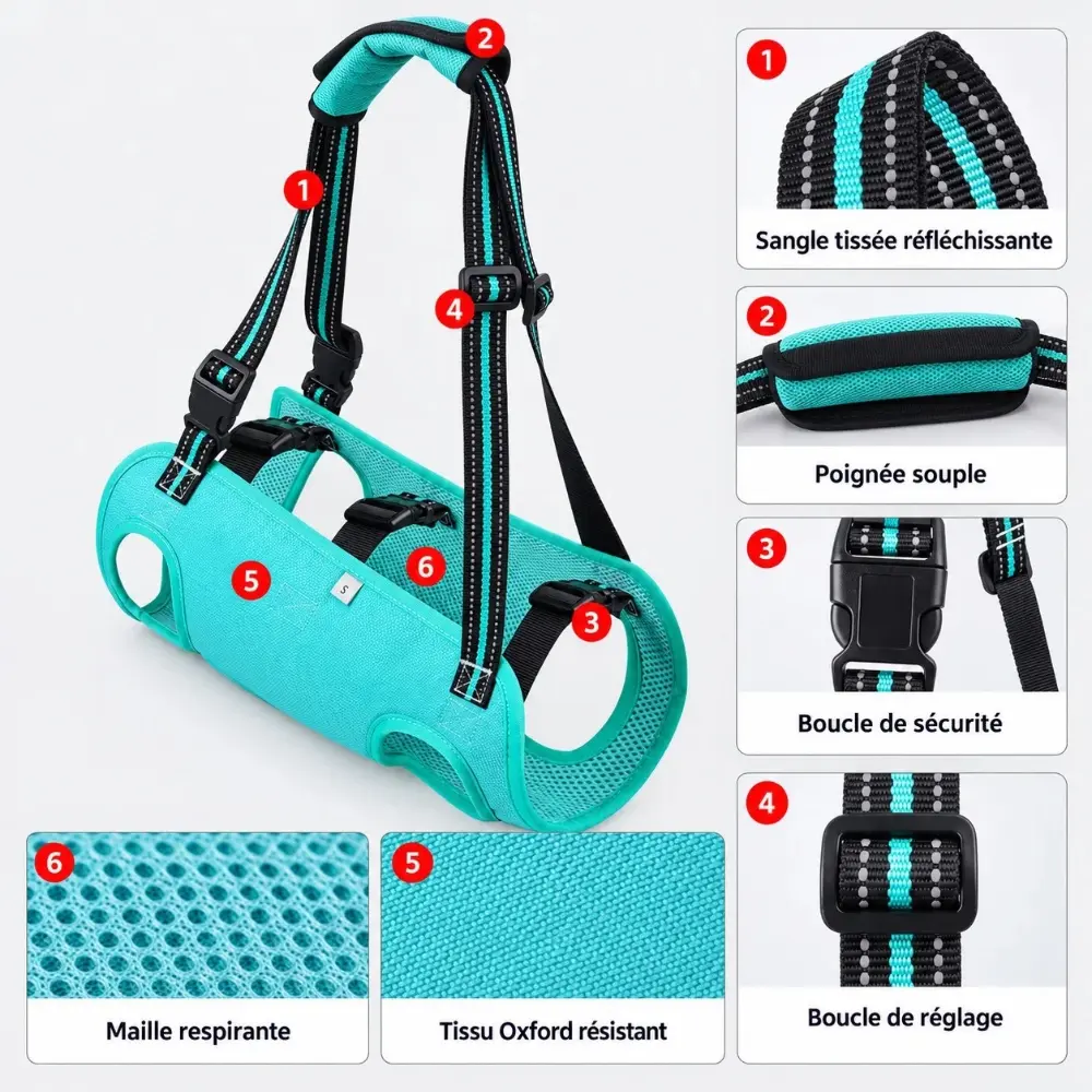 Harnais de levage pour chien turquoise lagon avec détails des sangles et boucles